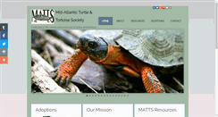 Desktop Screenshot of matts-turtles.org