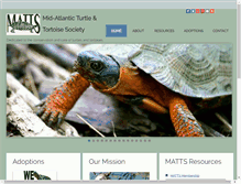 Tablet Screenshot of matts-turtles.org